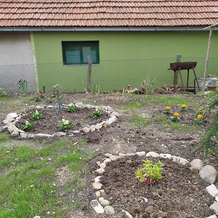 شقة Stancic 019 Zaječar المظهر الخارجي الصورة