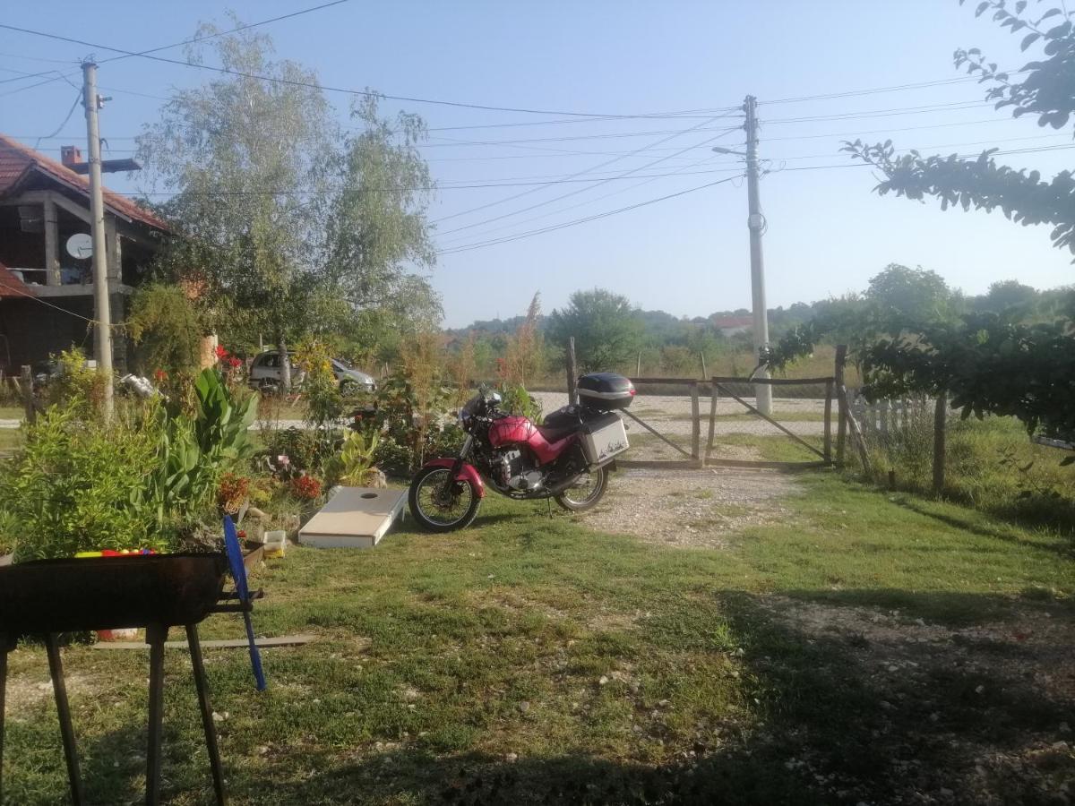 شقة Stancic 019 Zaječar المظهر الخارجي الصورة