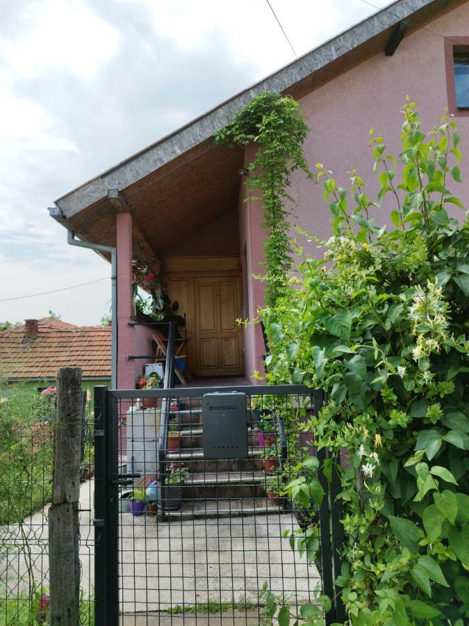 شقة Stancic 019 Zaječar المظهر الخارجي الصورة