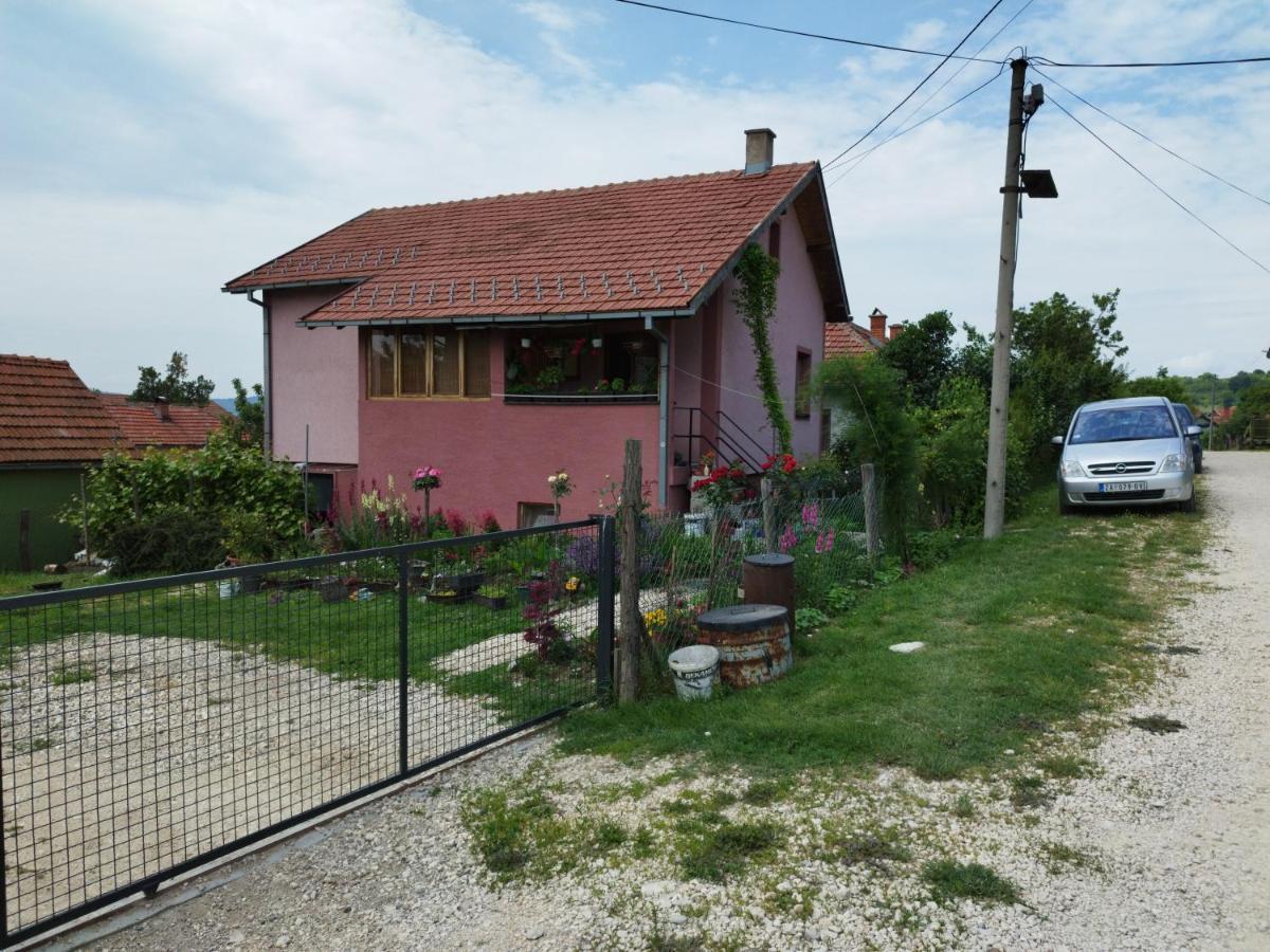 شقة Stancic 019 Zaječar المظهر الخارجي الصورة
