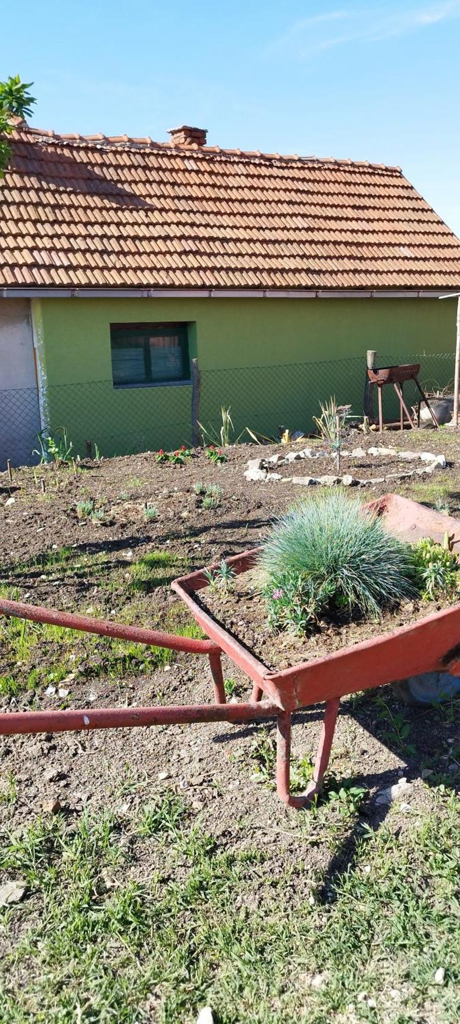 شقة Stancic 019 Zaječar المظهر الخارجي الصورة