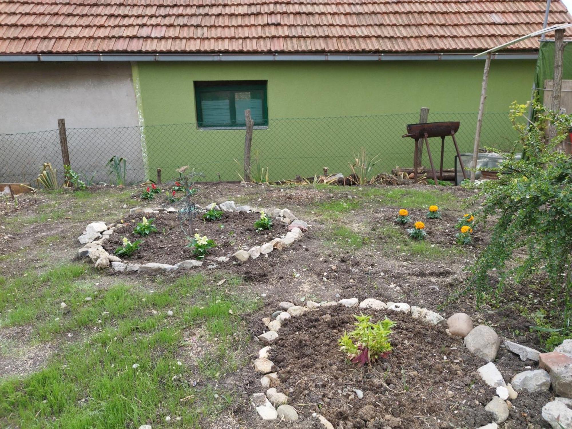 شقة Stancic 019 Zaječar المظهر الخارجي الصورة